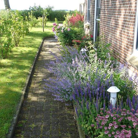 B&B Op De Vlakte Oosternijkerk Exterior photo