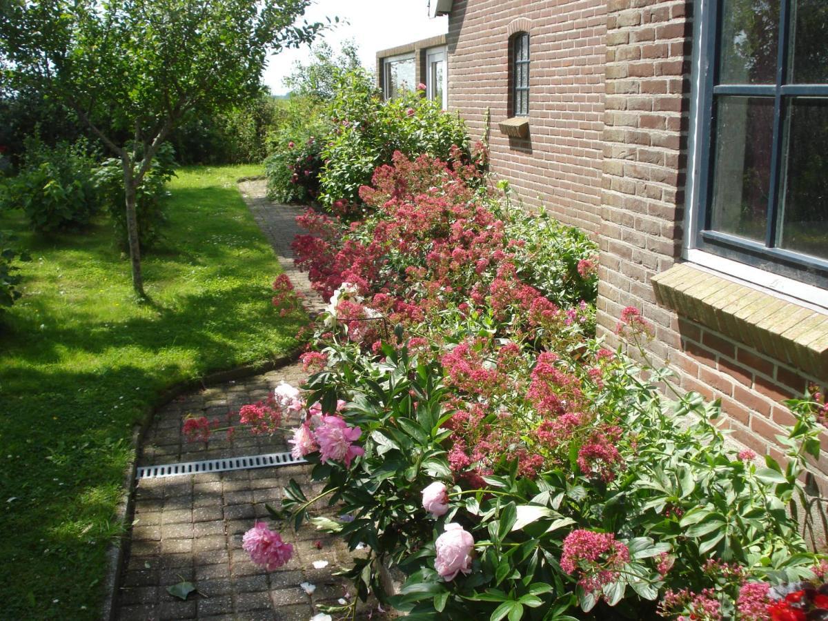 B&B Op De Vlakte Oosternijkerk Exterior photo